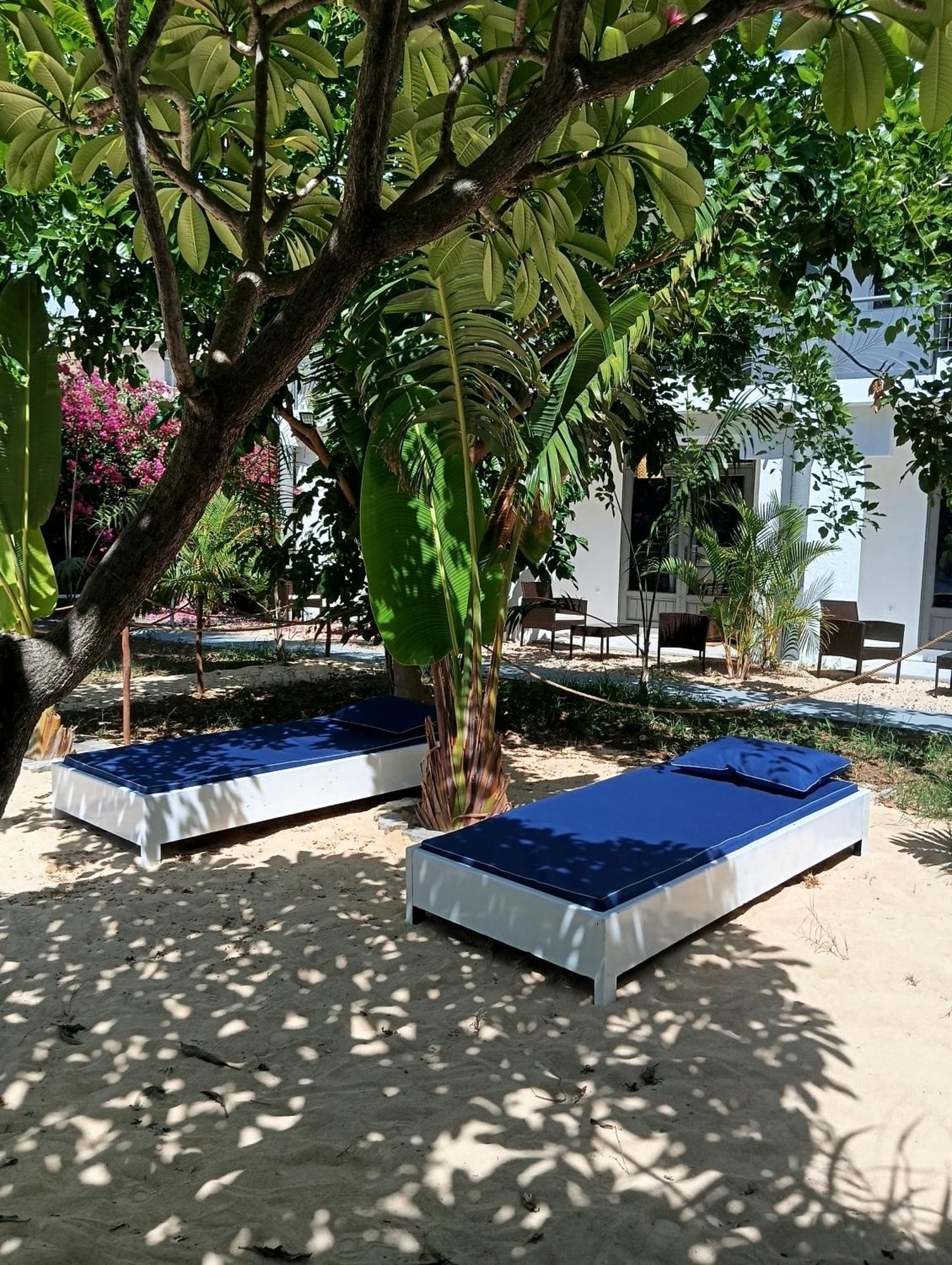 Exotica Sense Aparthotel Flic en Flac Ngoại thất bức ảnh